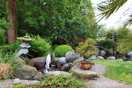 �chin. Reisblume - Chinese japanese garden-Photoinjection,Fotolia.com