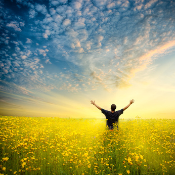 �Zufrieden, man in yellow field,chesterF-fotolia.com